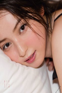 逐风飞翔电视剧